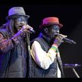 Wailing Souls - Town Point Park  Norfolk, VA - 7-20-2001 From Jays Roots Archives