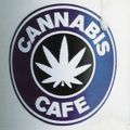 Ministry (Magazine Presents Cannabis Cafe - Rob Fitzpatrick (Ministry Of Sound)