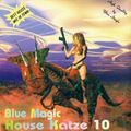 Blue Magic House Katze 10