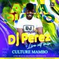Amapiano mix 2021,monalisa vibe - DJ Perez