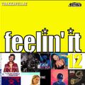 FEELIN IT 12 (released in 2001) R&B Hiphop mix