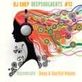 DeepSoulBeats #13:  Rejuvenate - Deep & Soulful House