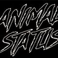 DJ Wonder Animal Status 04-19-18