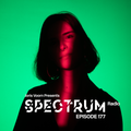 Joris Voorn Presents: Spectrum Radio 177