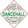 DJ J Bourne pres When Dance Was Nice pt7