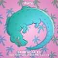 David Morales - Miami Music Week 2015 @ Basement Miami - Thump Mix