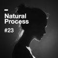 Natural Process #23