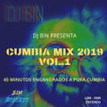 Dj Bin - Cumbia Mix 2019