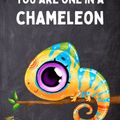 Chameleon | Zouk Heat 2023 | Sunday 11PM-12AM (energy 4-6)