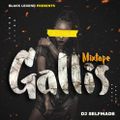 DJ SELFMADE - GALLIS MIXTAPE