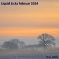 Liquid Licks Februar 2014