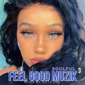 soulful-FEELGOOD MUZIK 3