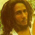 Bob Marley And The Wailers - ULTRA RARITIES Clean source Pt. 2 of 3 (Russian Invasion) 