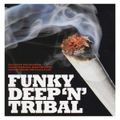 Hernan Cattaneo - Funky Deep 'n' Tribal