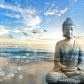 Buddha Deep Alpha 11 (Chill Experience)