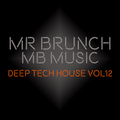 Deep Tech House Mix - Vol 12