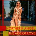 Northern Angel - The Age Of Love [#techno #partymix]