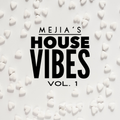 Mejia's House Vibe Vol 1
