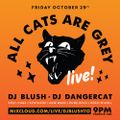 ALL CATS ARE GREY with DJ Blush + DJ DangerCat