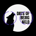 Dummy Mix 277 // Days Of Being Wild (Hotel International & Sam Berdah)