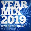 Yearmix 2019 (mixed by DJ RED)