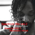 Spectrum Mix vol.2 - Dubstep meets Reggae Music -