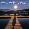 Moonshadows {Trip-Hop Deep Downtempo Beats} [DJ Mizu & Ryan James Quinn]