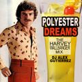 Polyester Dreams ( The Harvey Wallbanger Mix ) DJ Alex Gutierrez