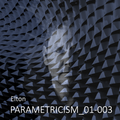 PARAMETRICISM-01_003