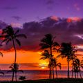 Music with Feeling 53 - Hawaiian Sunset