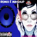 Remix & Mashup