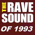 The Rave Sound Of 1993