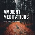 Ambient Meditations Vol 19 - PBSR (Anjunadeep)