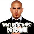 The Best Of Pitbull Mixtape By Dj ICE