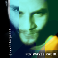 GUY VAN DER GRAAF for WAVES RADIO #12 - Walking Dream