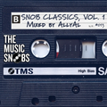 In The Mix 013: Snob Classics, Vol. 1 (Mixed by AllyAl)