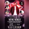 SmashItLive.com Presents:  WAYNE WONDER (PROMO MIX)
