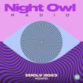 Night Owl Radio 404 ft. EDC Las Vegas 2023 Mega-Mix