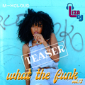 what the funk vol.13 - TEASER