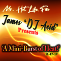Mr. Hot Like, James 'DJ Acid' Presents, 