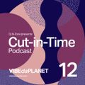 Cut-in-Time Vol. 12 by DJ N-Tone @ VIBEdaPLANET.com