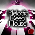 Melodic Deep House Mix 009