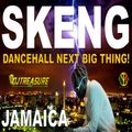 Skeng Mix 2022 Raw | Skeng Dancehall Mix 2022 | Dancehall NEXT Big Thing | DJ Treasure 18764807131