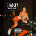 DJ ADLEY #SLOWJAMZ3 R&B Mix ( Chris Brown, Summer Walker, Jeremih, Drake etc )
