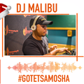 Mix 41 Motsweding FM mixed by DJ Malibu