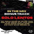 Dj Bin - In The Mix Bonus Track (Solo Lentos)