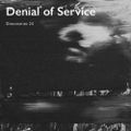 artelettronica _ Dissonanze 24 | denial.of.service