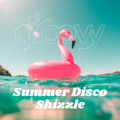 DJ Groovy - Summer Disco Shizzle Mix