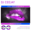 2022 - Deep House Mix-01 - DJ Ceejay - Free Show