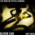 Oliver Lieb DJ Set at Liebe Bass Freiheit Festival Hamburg Sept.1st 2018